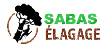 Paul Sabas Elagage 91